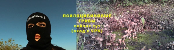 первитин Арсеньев